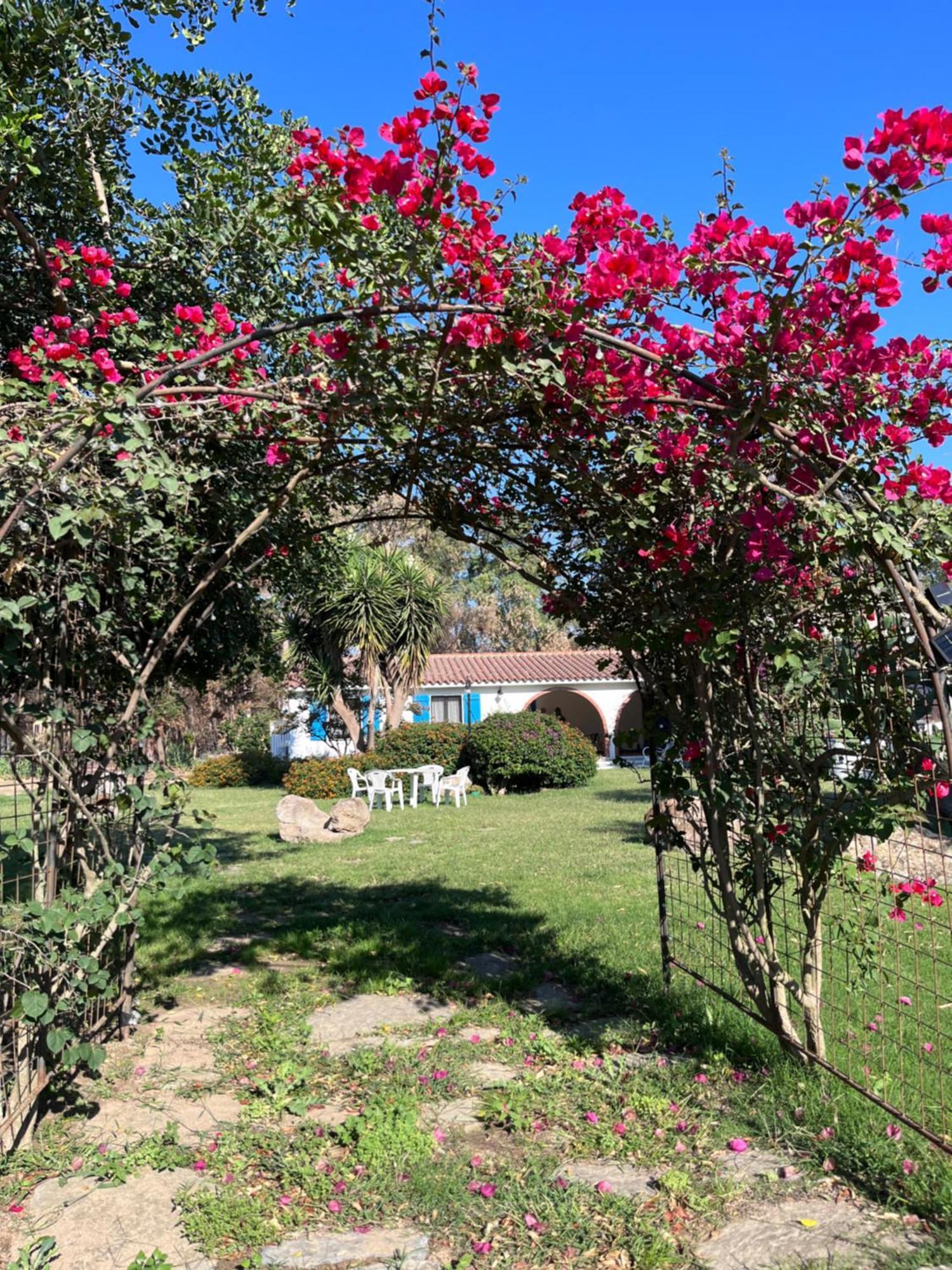 Bed and Breakfast Bidd'E Majori San Priamo Экстерьер фото